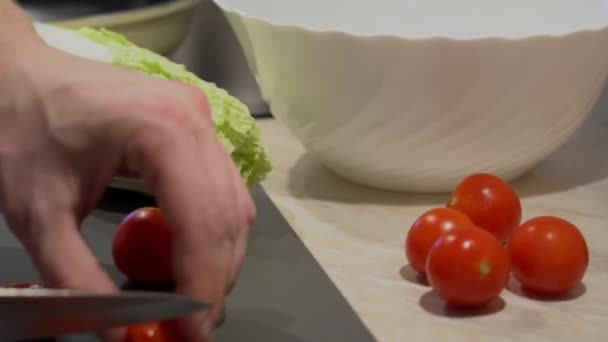Ojca Pasiastej Koszuli Jest Gotowanie Organicznych Sałatką Świeżych Warzyw Pomidorami — Wideo stockowe