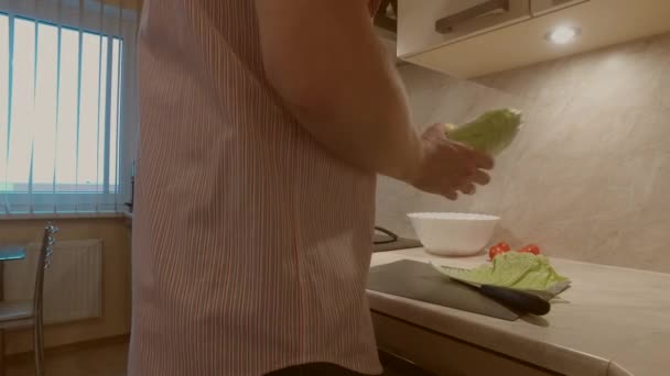 Far Randig Skjorta Matlagning Färska Ekologiska Grönsaker Sallad Med Cocktailtomater — Stockvideo