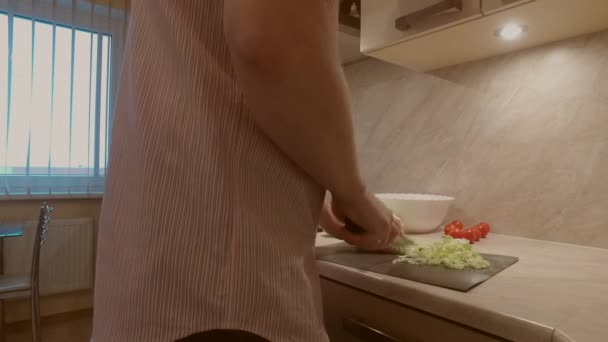 父亲穿着条纹衬衫 正在家里的厨房里为孩子们做新鲜的有机蔬菜沙拉和鸡尾酒番茄和大白菜 — 图库视频影像