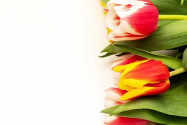 Bahar çiçekleri. Işık arka planda kırmızı lale buket. Anneler günü ve Sevgililer günü geçmişi. Tebrik kartı