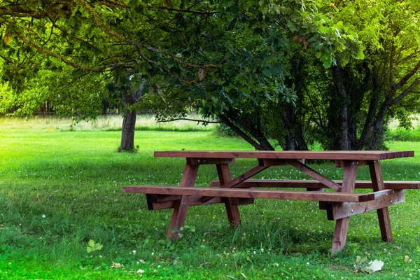 Wooden bench and table on a meadow in the garden on the old Alpaca Farm. Summer leisure time in the nature. Tranquil nature day scene.