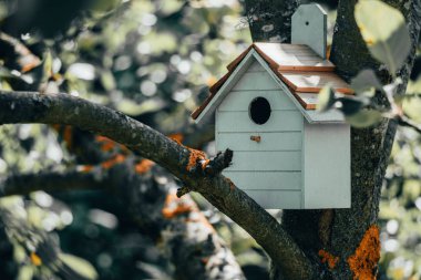 Çiftlik parkı bölgesinde bir elma ağacı üzerinde ahşap mavi kuş evi. Basit kuş evi tasarımı. Kuş yetiştiriciliği için barınak, ağaçta yuvalama kutusu