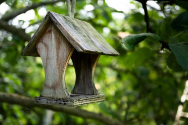 Kuş yemlikleri. Kuşlar için ağaç ev, neşeli daire.