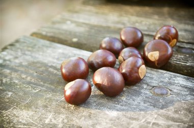 Buckeyes ahşap tablo