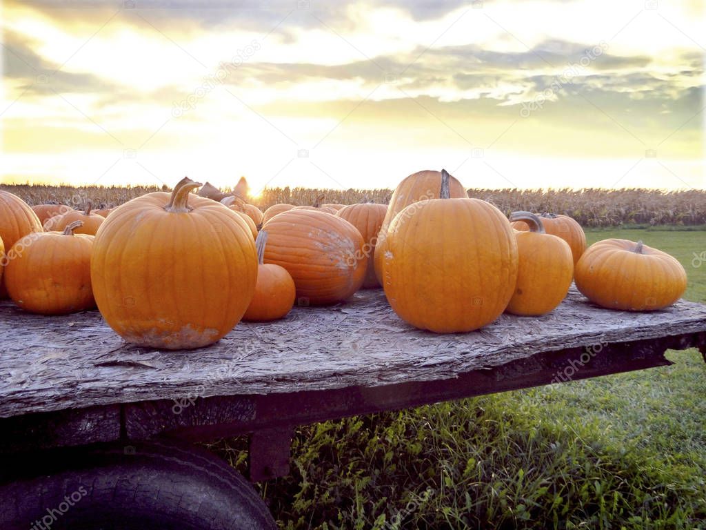 Fall Pumpkins on a Hayride Wagon