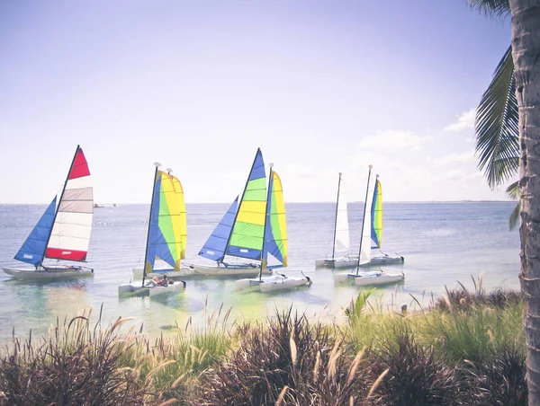 Tropical Sailboats Sunny Day — Stock Photo, Image