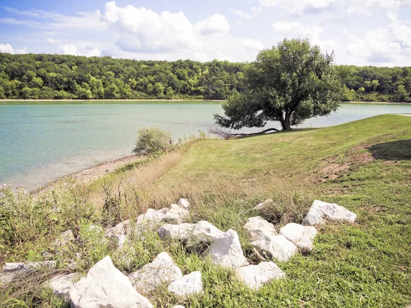 Tree Rocks Lake Summer Day — Stock Photo, Image