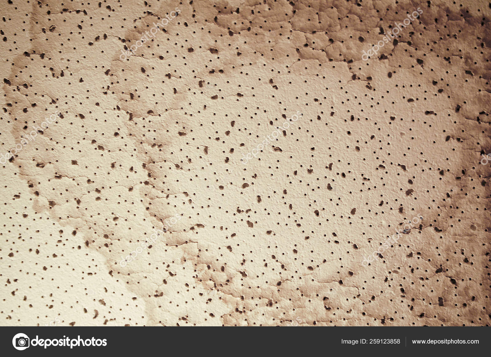 Close Ceiling Tile Water Stain Stock Photo C Ebacklund
