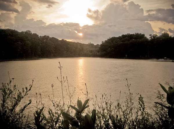Peaceful Missouri Lake Sunset Plant Silhouettes Summer — Stock Photo, Image