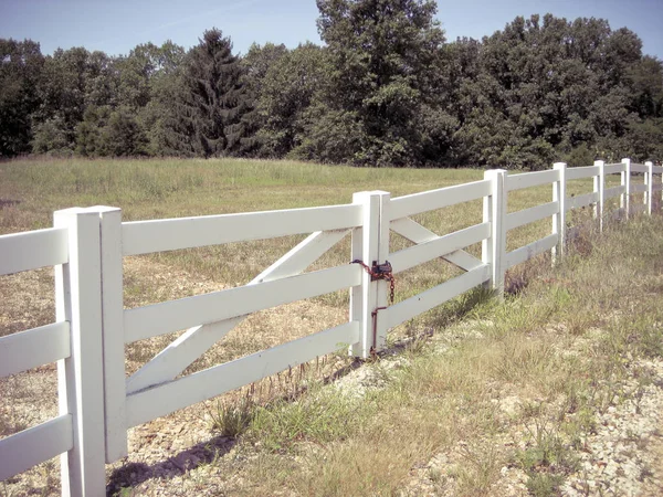 Beyaz çit ağaçlarla çevrili bir ülke.