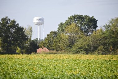 Owensville, Missouri / Amerika - 6 Ekim 2018: Soya Tarlası Su Kulesi