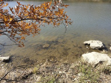 Düşüş Yaprakları ve Kayalıklarıyla Göl Kıyısı