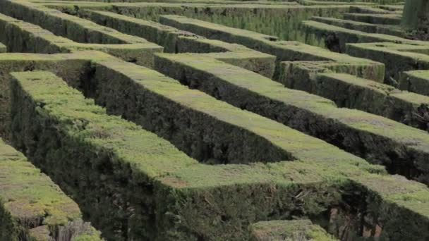 Misterioso Jardim Labirinto Câmera Lenta Pan Sobre Labirinto — Vídeo de Stock