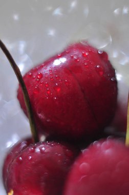 İlk lezzetli ve güzel kiraz meyveleri