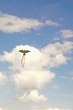 Gökkuşağı üzerinde festival çerçevesinde Uçurtma festivali