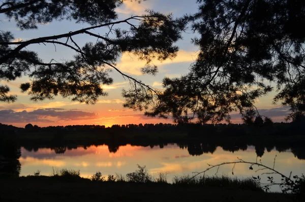 松の間の湖の美しい夕日 — ストック写真