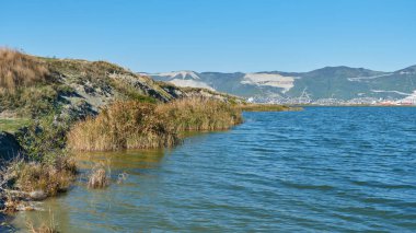 Rusya Karadeniz Sahil doğası