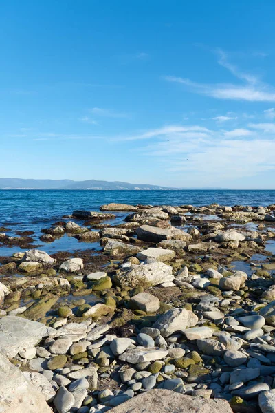 Характер Погляд Узбережжі Чорного Моря — стокове фото