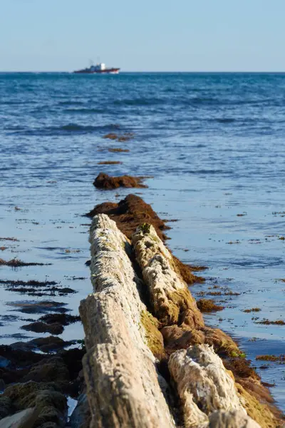 Natura Vista Sulla Costa Del Mar Nero — Foto Stock