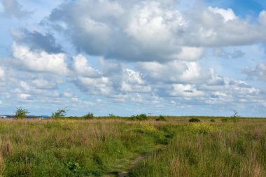 Karadeniz kıyılarının doğası