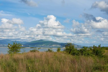 Karadeniz kıyılarının doğası