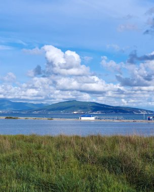 Karadeniz kıyılarının doğası