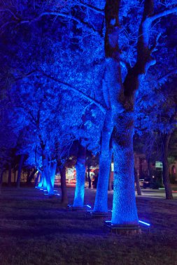 Işıklı bir gece parkında ağaçlar