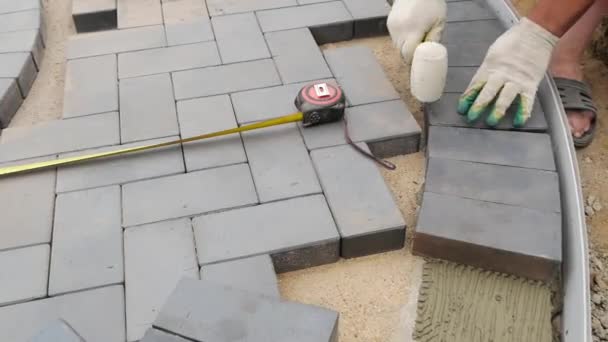Laying Paving Slabs Close-Up. Road Paving, Construction. — Stock Footage Laying Paving Slabs Close Road Paving Construction Stock Footage