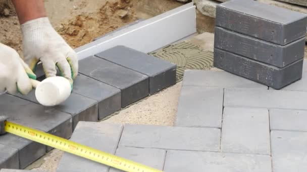Laying Paving Slabs Close-Up. Road Paving, Construction. — Stock Footage Laying Paving Slabs Close Road Paving Construction Video Clip