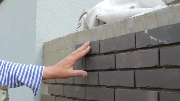 Decorative Elements Form Brick Wall — Stock Video