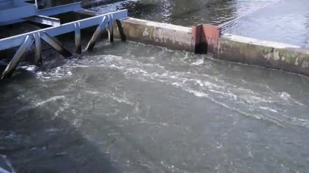 Turbulent Vattnet Dammen Strömmande Vatten Vid Liten Dam — Stockvideo