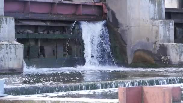 Água Fluxo Barragem Pequena — Vídeo de Stock