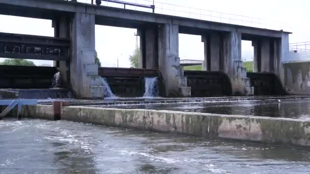 Agua Que Fluye Presa Pequeña — Vídeos de Stock