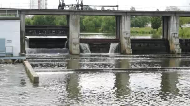 Flowing Water Small Dam — Stock Video