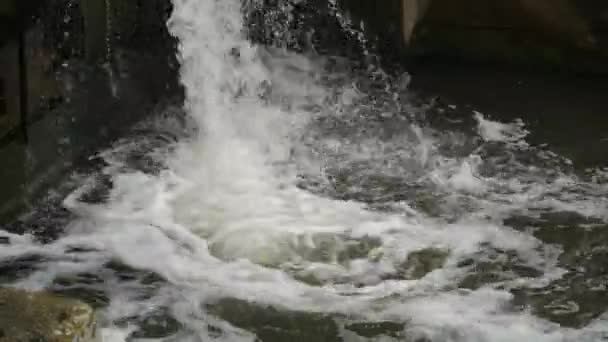 Água Fluxo Barragem Pequena — Vídeo de Stock