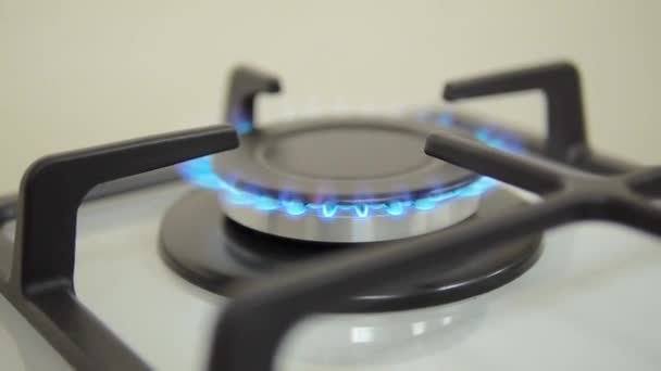 Turning Gas Gas Burning Kitchen Gas Stove — Stock Video