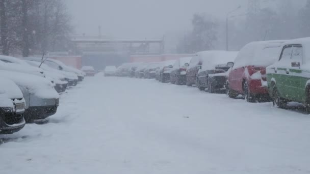 被雪覆盖的车 在严冬的风暴中 — 图库视频影像