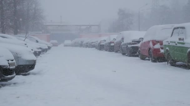 Carro Coberto Neve Sob Severa Tempestade Inverno — Vídeo de Stock