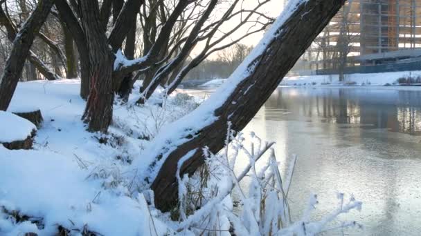 Vinter Solig Dag Utomhus Staden Park Nära Floden Ett Vinterlandskap — Stockvideo