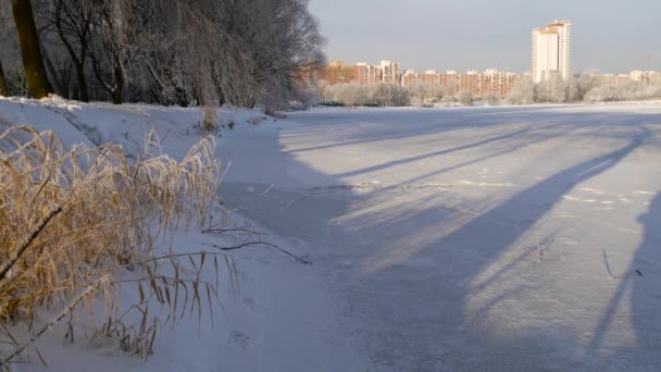 Kış Güneşli Gün Açık Havada City Park Yakınındaki Nehrin Bir — Stok video