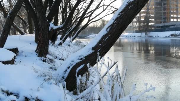 Winter Zonnige Dag Buitenlucht Stromende Rivier Winter Vorst Takken — Stockvideo