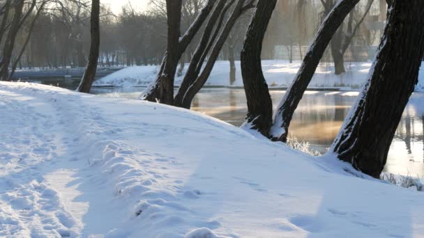 Hiver Journée Ensoleillée Plein Air Rivière Qui Coule Hiver Gel — Video