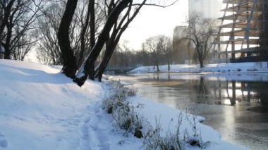 Kış güneşli gün açık havada. Kış akan nehirde. Frost'un dallar üzerinde.