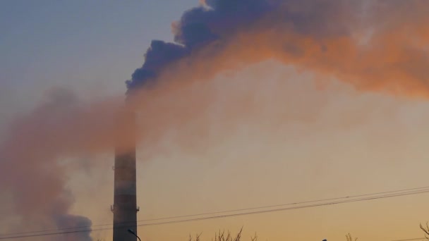 Kouř Zásobník Pozadí Modré Oblohy Energetické Generace Vzduchu Prostředí Znečištění — Stock video