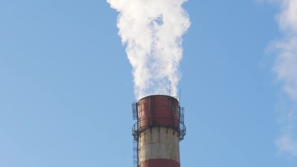 关闭在蓝天背景的烟雾堆栈 能源发电和空气环境污染工业现场 Uhd 视频画面 — 图库视频影像