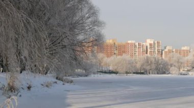 Kış güneşli gün açık havada. City Park yakınındaki nehrin bir kış manzarası. Frost'un dallar üzerinde.