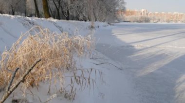 Kış güneşli gün açık havada. City Park yakınındaki nehrin bir kış manzarası. Frost'un dallar üzerinde.