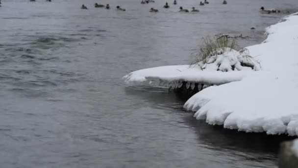 冬のシーンの背景が付いているダム 冬のダムの乱流水 目に見えるアイシングとつらら — ストック動画