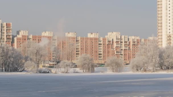 Зимний Солнечный День Открытом Воздухе Городской Парк Реки Зимний Пейзаж — стоковое видео