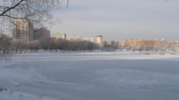 Invierno Día Soleado Aire Libre Parque Ciudad Cerca Del Río — Vídeos de Stock